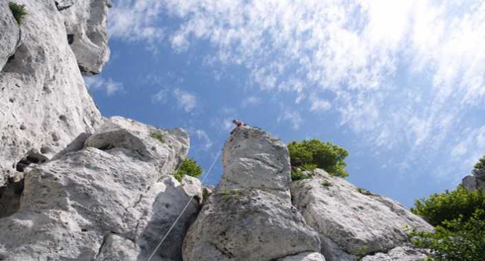 rzedki2-710x380-foto-gosia-wlodarczyk.jpg