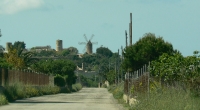 MAJORKA 